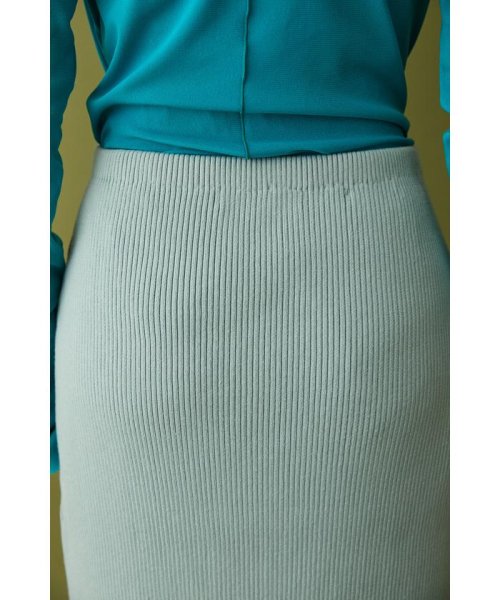 HeRIN.CYE(ヘリンドットサイ)/Back slit rib knit skirt 2/img06