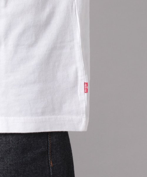 LEVI’S OUTLET(リーバイスアウトレット)/SS RELAXED FIT TEE MV SSNL NATURE LOGO W/img04
