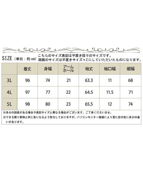 GOLD JAPAN(ゴールドジャパン)/大きいサイズ レディース ビッグサイズ Vネックカットソーチュニック/img18