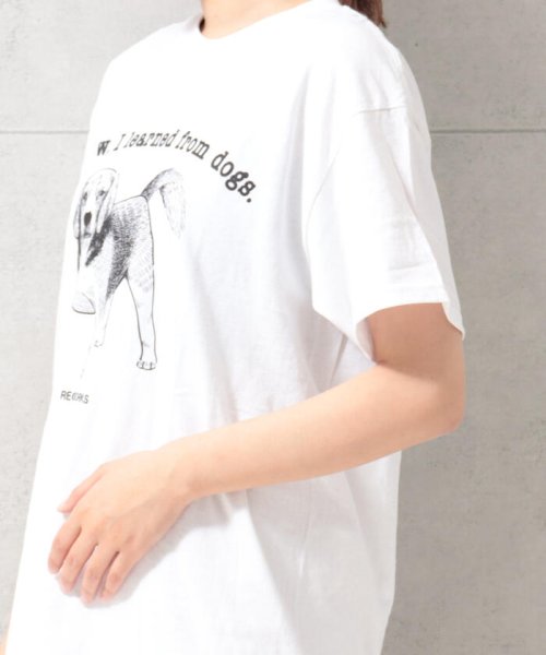 FREDY&GLOSTER(フレディアンドグロスター)/【Regency Works】short sleeve animal print T/img38