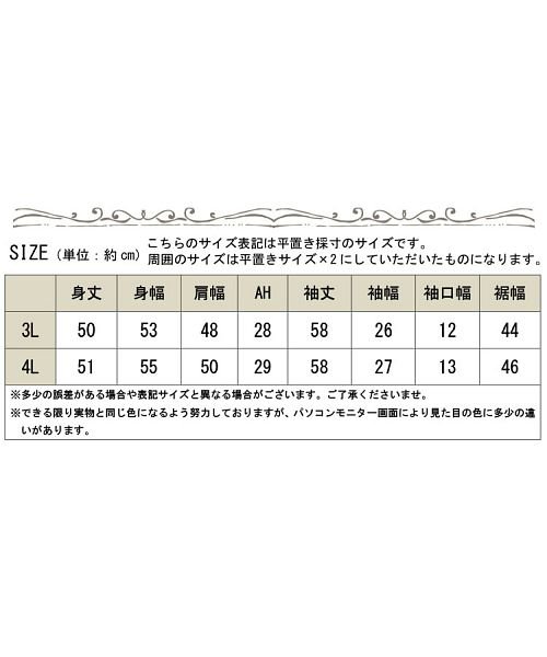 GOLD JAPAN(ゴールドジャパン)/大きいサイズ レディース ビッグサイズ チュール袖ニットプルオーバー/img18