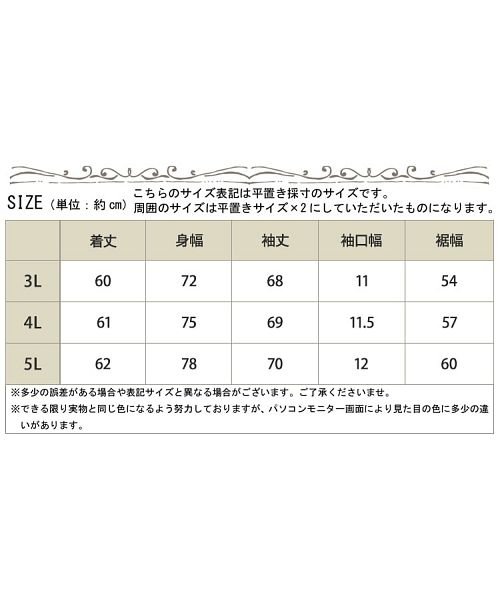 GOLD JAPAN(ゴールドジャパン)/大きいサイズ レディース ビッグサイズ 袖レース切替えノーカラーブルゾン/img18