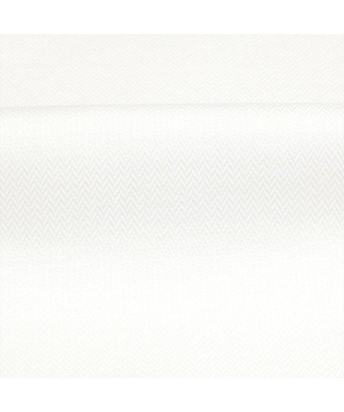 TOKYO SHIRTS(TOKYO SHIRTS)/【SUPIMA】形態安定 ワイドカラー 綿100% 長ビジネスワイシャツ/img04