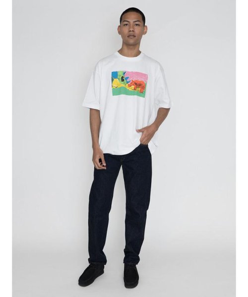 Levi's(リーバイス)/グラフィック BOX Tシャツ PAINTED RHINO/img03