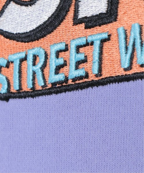 VENCE　EXCHANGE(ヴァンス　エクスチェンジ)/VISION STREET WEAR スケボー刺繍パーカー/img24