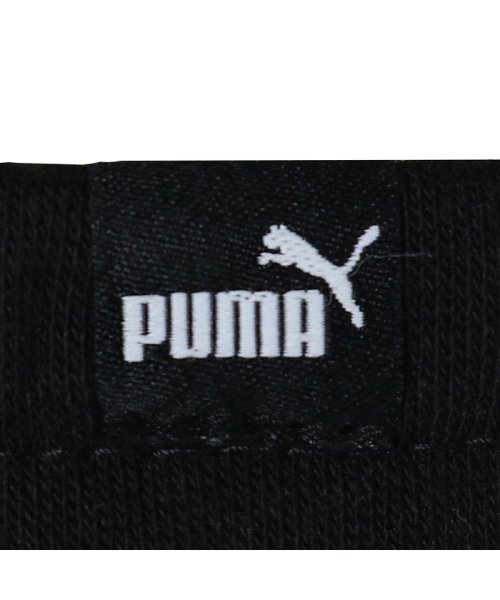 PUMA(PUMA)/ウィメンズ CLASSIC フーテッド スウェット ジャージ 上下セット/img39