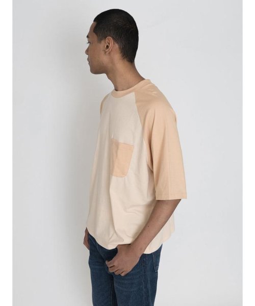 Levi's(リーバイス)/ラグランTシャツ PORCINI/img01