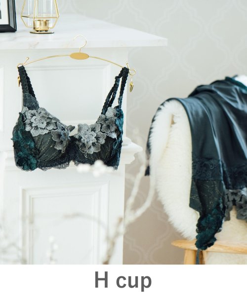 fran de lingerie(フランデランジェリー)/GRACE Etoileらくらく補正グレースエトワール ブラジャー コーディネート H65－H85カップ/img35