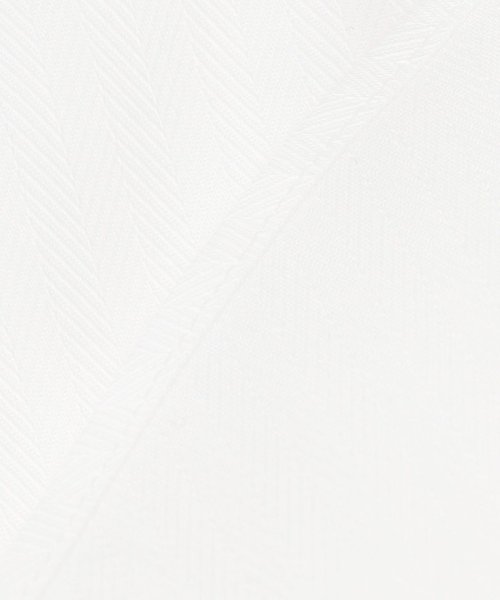 gotairiku(五大陸)/【形態安定】プレミアムプリーツシャツ＿スナップダウンヘリンボーンジャガード/img15