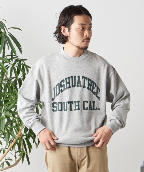 SHIPS any MEN(シップス　エニィ　メン)/*SHIPS any: NATIONAL PARK プリント スウェット 23AW◇/img10