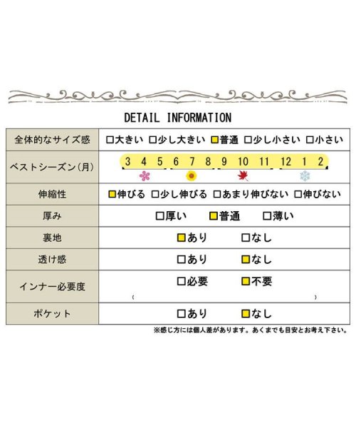 GOLD JAPAN(ゴールドジャパン)/大きいサイズ レディース ビッグサイズ レースチュールフレアスカート/img19