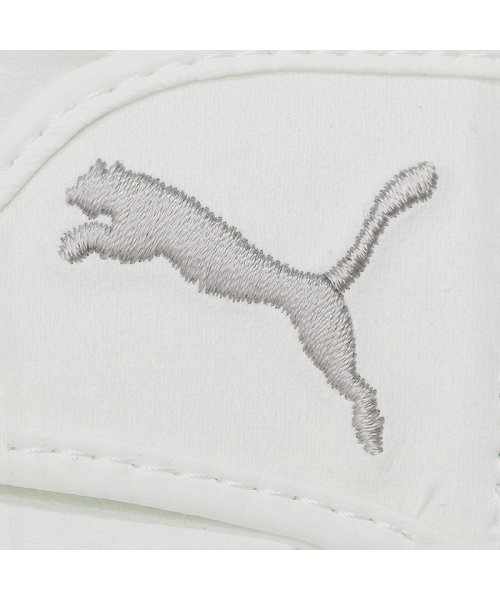 PUMA(PUMA)/メンズ ゴルフ バリア グローブ/img02