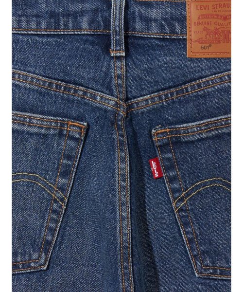 Levi's(リーバイス)/JS 501(R) JEANS FOR WOMEN BLUE WORN IN/img06