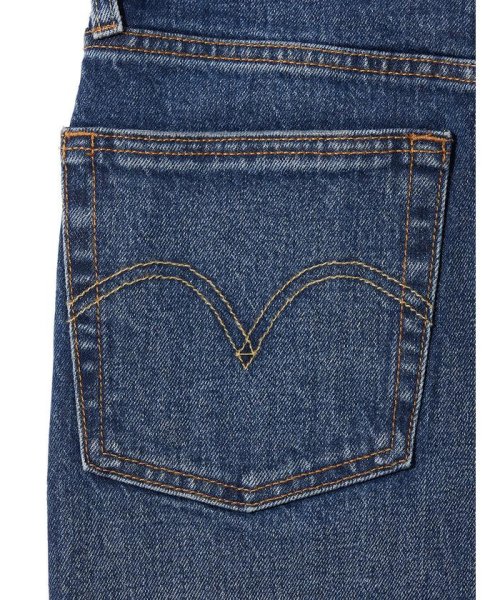 Levi's(リーバイス)/JS 501(R) JEANS FOR WOMEN BLUE WORN IN/img10