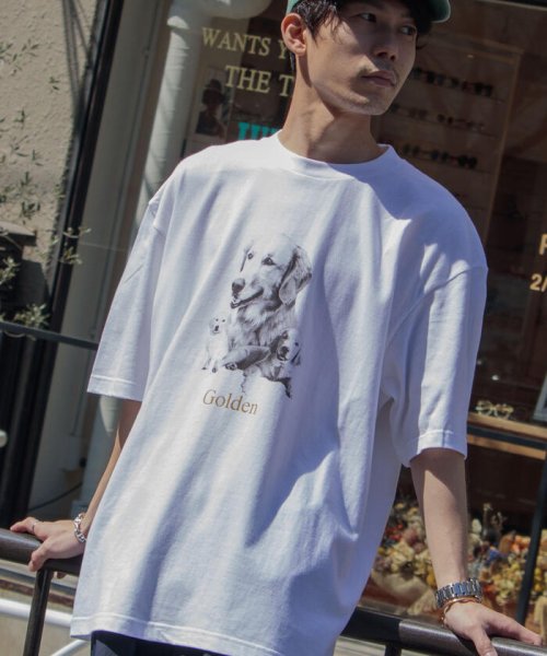 GLOSTER(GLOSTER)/【人気NO.1ヒットシリーズ】DOG&CAT 犬猫オーバーサイズTシャツ/img17