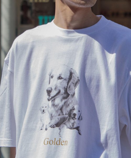 GLOSTER(GLOSTER)/【人気NO.1ヒットシリーズ】DOG&CAT 犬猫オーバーサイズTシャツ/img18