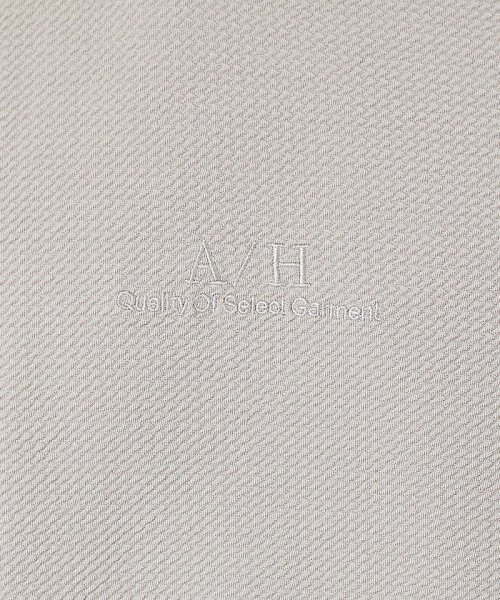 ABAHOUSE(ABAHOUSE)/【アンサンブル対応】フクレ ジャガード　刺繍　半袖　Tシャツ/img08