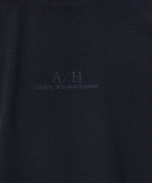 ABAHOUSE(ABAHOUSE)/【アンサンブル対応】フクレ ジャガード　刺繍　半袖　Tシャツ/img11