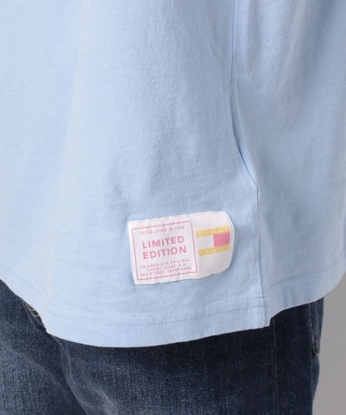 TOMMY JEANS(トミージーンズ)/Pastel Capsule フラッグTシャツ/img04