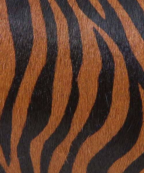 【PotioR】別注CORINE MINI 3 