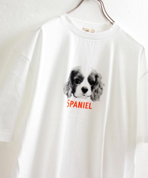 GLOSTER(GLOSTER)/【人気NO.1ヒットシリーズ】DOG&CAT 犬猫オーバーサイズTシャツ/img21