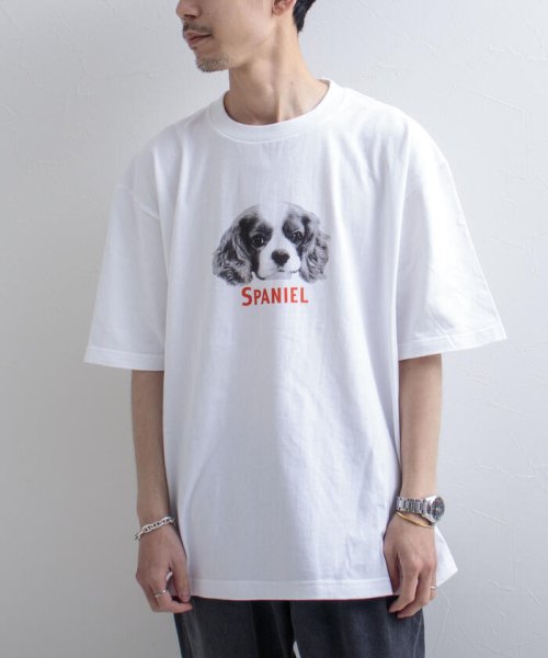 GLOSTER(GLOSTER)/【人気NO.1ヒットシリーズ】DOG&CAT 犬猫オーバーサイズTシャツ/img28