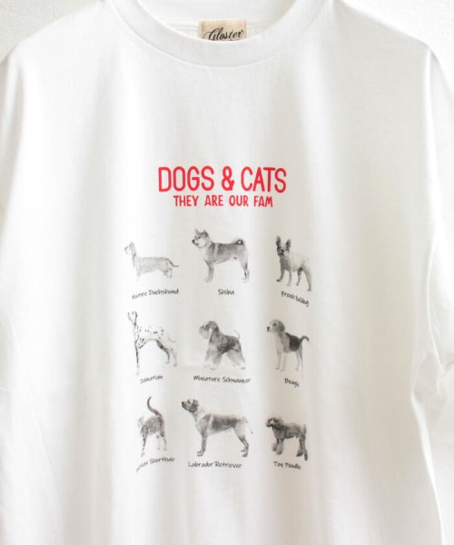 GLOSTER(GLOSTER)/【人気NO.1ヒットシリーズ】DOG&CAT 犬猫オーバーサイズTシャツ/img37