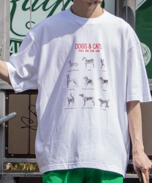 GLOSTER(GLOSTER)/【人気NO.1ヒットシリーズ】DOG&CAT 犬猫オーバーサイズTシャツ/img39