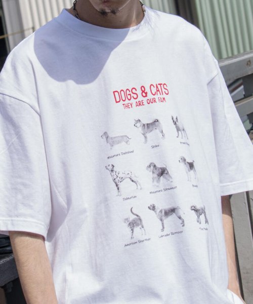 GLOSTER(GLOSTER)/【人気NO.1ヒットシリーズ】DOG&CAT 犬猫オーバーサイズTシャツ/img41