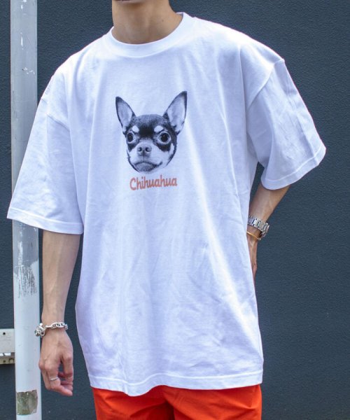 GLOSTER(GLOSTER)/【人気NO.1ヒットシリーズ】DOG&CAT 犬猫オーバーサイズTシャツ/img52