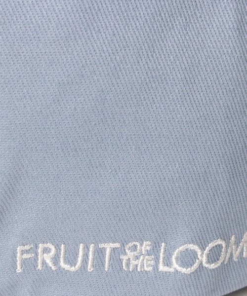 FRUIT OF THE LOOM(フルーツオブザルーム)/LOGO EMB LOW CAP/img05