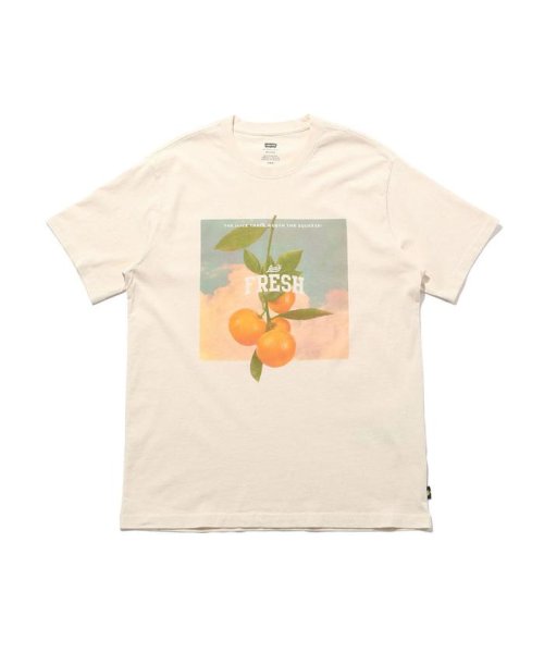 Levi's(リーバイス)/リラックスフィットTシャツ STAY FRESH UNDYED GREIGE/img04