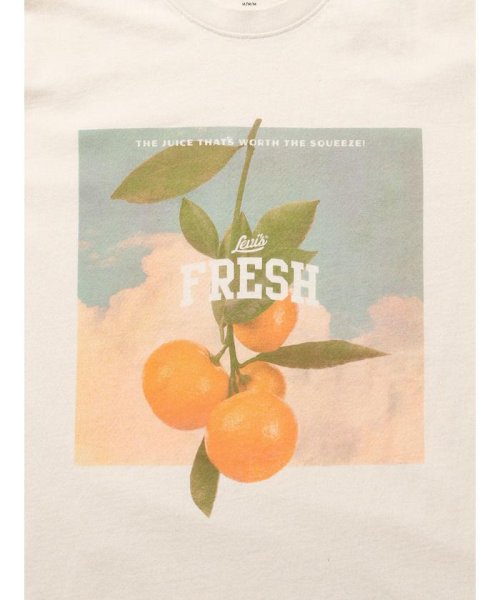 Levi's(リーバイス)/リラックスフィットTシャツ STAY FRESH UNDYED GREIGE/img06