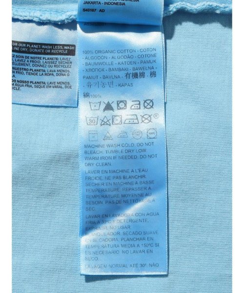 Levi's(リーバイス)/GRAPHIC JET Tシャツ NATURAL GD BLUE/img07