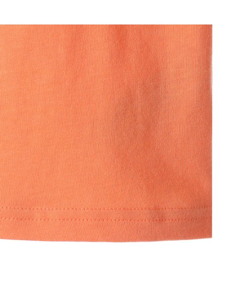 PUMA(プーマ)/キッズ ボーイズ ALPHA グラフィック II 半袖 Tシャツ 120－160cm/img09
