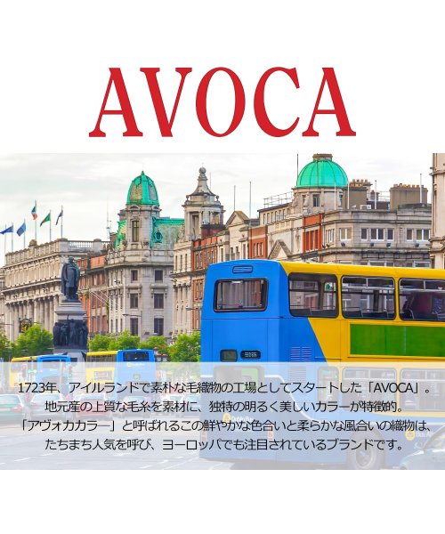 sankyoshokai(サンキョウショウカイ)/[AVOCA]ヘリンボーンラム革手袋/img02