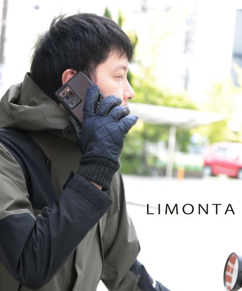 sankyoshokai(サンキョウショウカイ)/[CORDURA LIMONTA]メンズレザー 手袋コーデュラ/img10