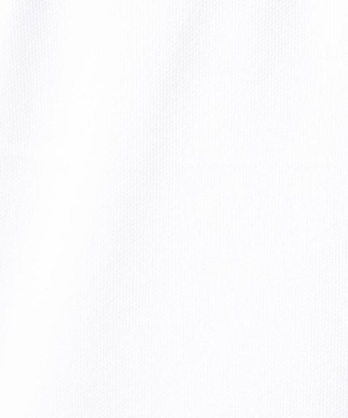 NOLLEY’S goodman(ノーリーズグッドマン)/クジラワンポイント ボタンダウンポロシャツ(※軽量、吸水速乾、ストレッチ素材)/img04