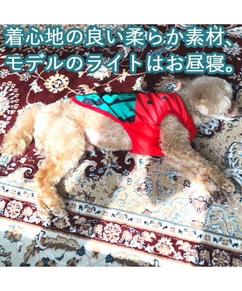 HAPPY DOG!!(はっぴーDOG！！)/トイプードル 犬 服 犬服 いぬ 犬の服 着せやすい タンクトップ フルーツ柄 スイカ メッシュドッグウェア 【春 夏 春夏 夏服 春物】/img03