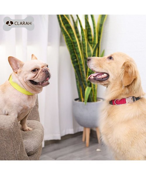 CLARAH　kids(クララキッズ)/ペット 首輪 犬 カラフル シンプル 小型犬 中型犬 大型犬 /img02