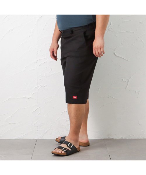 MAC HOUSE(men)(マックハウス（メンズ）)/[大きいサイズ] Dickies ディッキーズ ツイルカラーショートパンツ キングサイズ 2278－1310AKG/img01