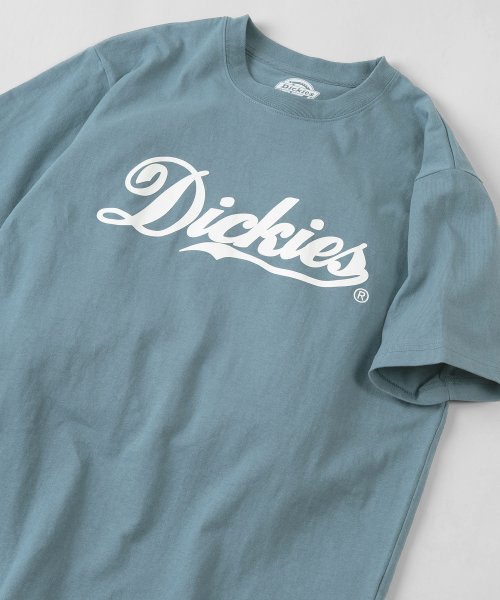 Dickies(Dickies)/【Dickies/ディッキーズ】 カレッジロゴ＆袖切替え ブランドロゴ Tシャツ/ 半袖Tシャツ/img01