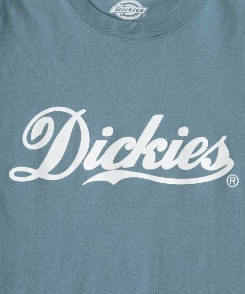 Dickies(Dickies)/【Dickies/ディッキーズ】 カレッジロゴ＆袖切替え ブランドロゴ Tシャツ/ 半袖Tシャツ/img11