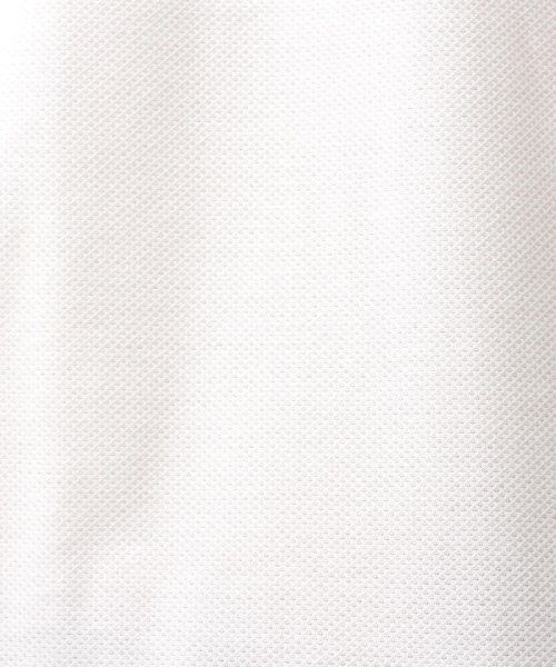 NOLLEY’S goodman(ノーリーズグッドマン)/ALBINI カノコショールカラー ポロシャツ/img04