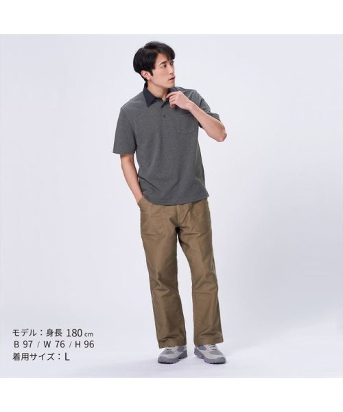 Pitta Re:)(ピッタリ)/ビズポロ ワイドカラー 半袖 ポロシャツ/img02