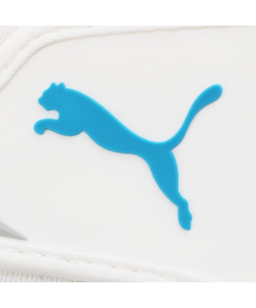 PUMA(PUMA)/メンズ ゴルフ パワーグリップ サマー グローブ/img06