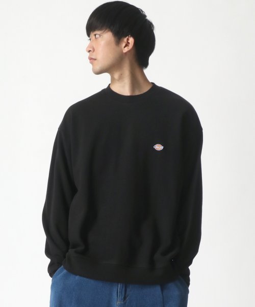 LAZAR(ラザル)/【Lazar】Dickies/ディッキーズ ビッグシルエット ワンポイント ミニロゴワッペン スウェット トレーナー/img13