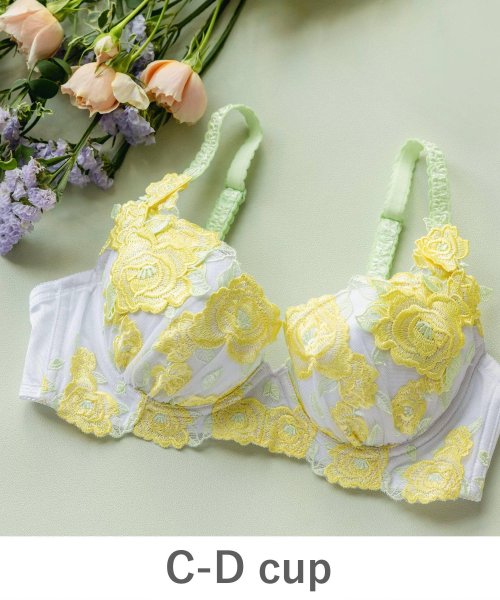 fran de lingerie(フランデランジェリー)/GRACE Grande らくらく補正グレースグランデ コーディネートブラジャー C65－D85カップ/img39