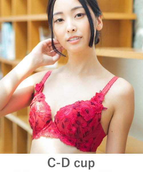 fran de lingerie(フランデランジェリー)/GRACE Grande らくらく補正グレースグランデ コーディネートブラジャー C65－D85カップ/img34