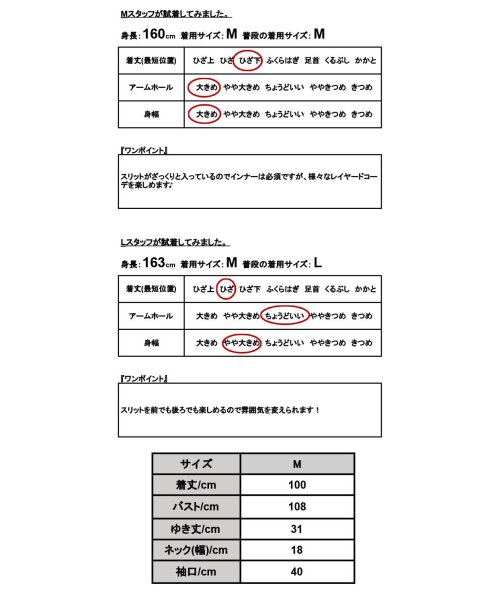 and it_(アンドイット)/ドビーテレコ2wayスリットワンピース 半袖 春 チュニック レディース ワンピ チュニックワンピ 前後2way レイヤード 重ね着 凹凸 おしゃれ 伸びる 伸/img03